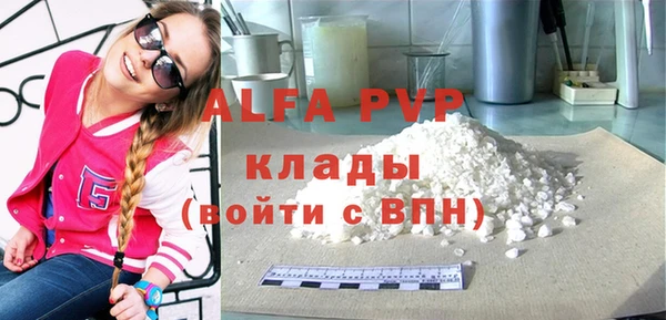 круглые Пересвет